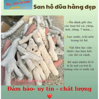 5kg SAN HÔ LỌC NƯỚC BỂ CÁ CẢNH TĂNG ĐỘ PH TRONG NƯỚC, TRANG TRÍ, TIỂU CẢNH - FAPDECOR