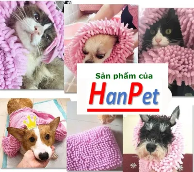 Hanpet - Chăm sóc chó mèo - Khăn tắm chó siêu thấm khăn bông lau mình cho chó mèo loại khăn thấm hút nước rất tốt