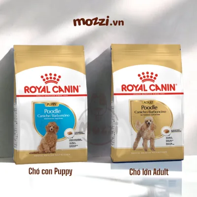 Thức ăn hạt Royal canin Poodle Puppy Adult cho chó lông xoăn