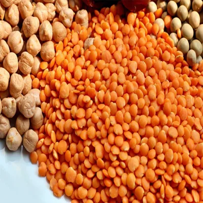 Đậu lăng đỏ (Red Lentils) Canada 500gr hữu cơ rất tốt cho sức khoẻ Thiên Thảo Organic