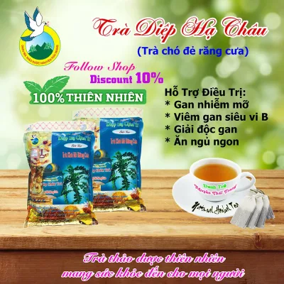 Combo Set of 5 Bags of Phyllanthus SP Tea Bag (100 Filter Bags X 2g) - Treatment for Hepatitis B, Blood Fatty Deposits - Nguyen Thai Trang - Natural Herbs - Good for Health