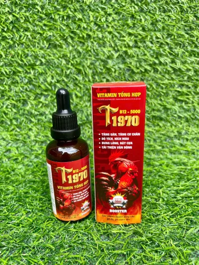 T1970 Multivitamin for Chicks to Large Chickens, Capacity 50ml