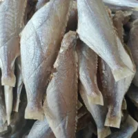 400gr Cá đổng khô. Khô cá đổng Nha Trang ,cá đổng dày thịt , hàng mới về mỗi ngày , chất lượng tuyệt vời , đảm bảo vệ sinh , được hút chân không rất kỹ khi giao cho khách hàng
