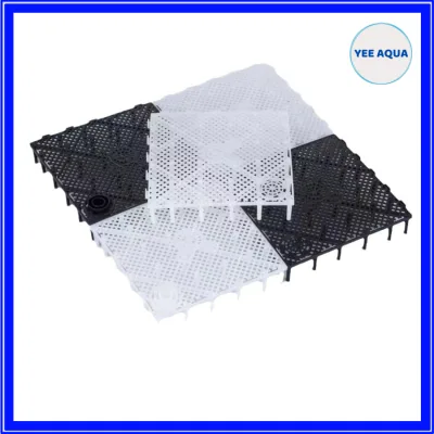 Vỉ Lọc Đáy Đài Loan (Đen/Trắng Trong) Tấm Lót Nền Bể Cá Cảnh Hồ Thủy Sinh