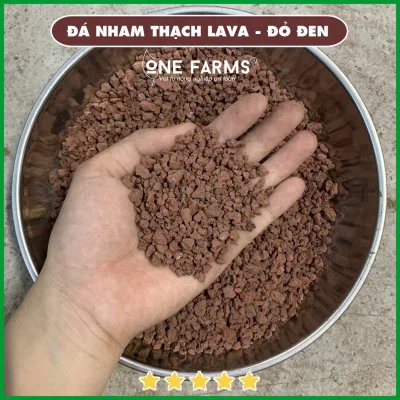 Đá Nham Thạch {LAVA} ĐỎ/ĐEN Chuyên trang trí bể cá, sen đá,trồng cây. 500gr