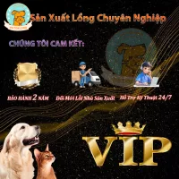 💝【QUÀ TẶNG MIỄN PHÍ】 ĐỔI TRẢ MIỄN PHÍ - Hỗ Trợ Kỹ Thuật Trọn đời - BẢO HÀNH - ✅Không cần mua thêm