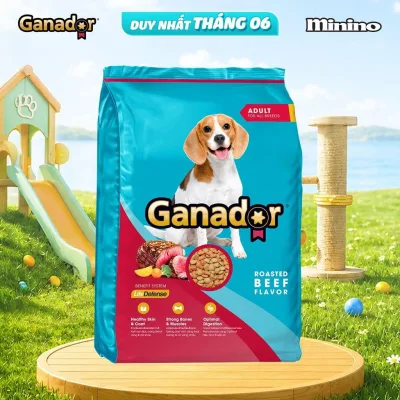 Thức ăn hạt Ganador cho chó vị Bò nướng 400g