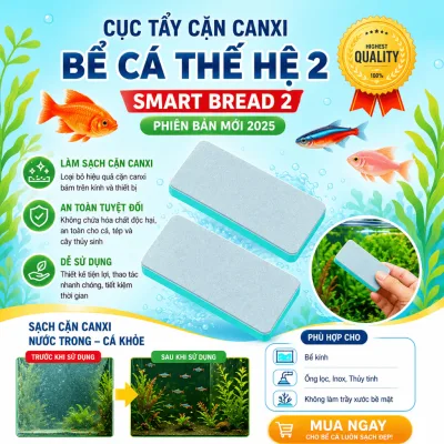 Cục Tẩy Cặn Canxi – Tẩy Cặn Canxi Hồ Cá Không Gây Trầy Xước