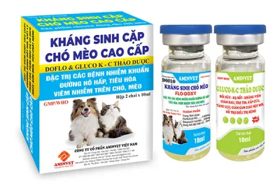 Kháng sinh cặp cho chó mèo (2 lọ/cặp)