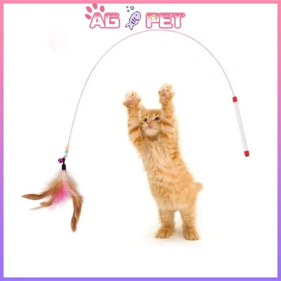 Stick Cat, Gậy Lông vũ cho Mèo ,Đồ chơi cho thú cưng giảm sự nhàm chán, đồ chơi trêu ghẹo mèo，đồ chơi cho chó.