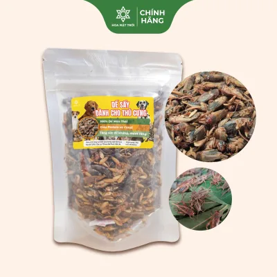 Dế Sấy Khô Làm Thức Ăn Cho Pet – Chó Mèo, Các Loài Bò Sát, Chuột Hamster, Chim, Cá, Ếch Và Rùa