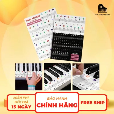 Miếng Dán Nốt Nhạc Phím Đàn Piano, Organ-Decal,Sticker Đánh Vị Trí Note Cho Đàn 88,61,49 Phím