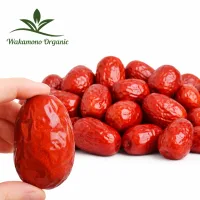 Táo Đỏ Hòa Điền Wakamono Organic VỤ MỚI size Trung 100 - 110 quả/kg, không chất bảo quản,