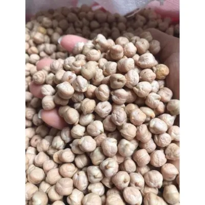 Hạt đậu gà trắng hữu cơ nhập khẩu 1kg cho bé ăn dặm, nấu sữa,…..