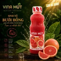 Vina Mứt 1000 ml - Chuyên Dùng Pha Chế Trà Sữa, Trà Trái Cây, Sinh Tố, Sữa Chua, Panna Cotta,...