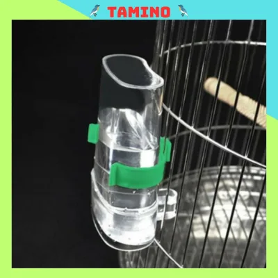 Cóng nước tự động, cóng đựng thức ăn cho chim khuyên, mào, mi, chòe, khướu