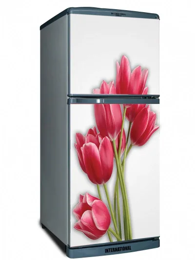 Decal dán tủ lạnh Hoa Tuy lip - Decal dán tủ lạnh máy giặt kệ tường tủ quần áo, decal dán, giấy dán, trang trí nội thất, giấy dán nội thất, trang trí nhà cửa