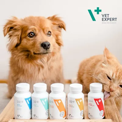 Vet Expert bổ sung vitamin&khoáng,tăng cường miễn dịch da và lông,xương khớp cho chó và mèo