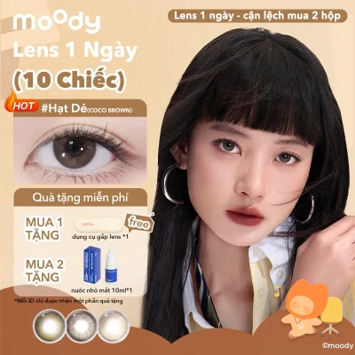 Set 10 chiếc kính áp tròng moody, lens 1 ngày Màu nâu tự nhiên, giãn tròng 14.2 - 14.5mm, Nâu Lục BST Tiểu Moo