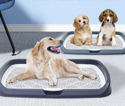 Khay Vệ Sinh Cho Chó Thành Thấp Size Lớn 65x50x6.5cm, Dành Cho Chó Tới 25kg