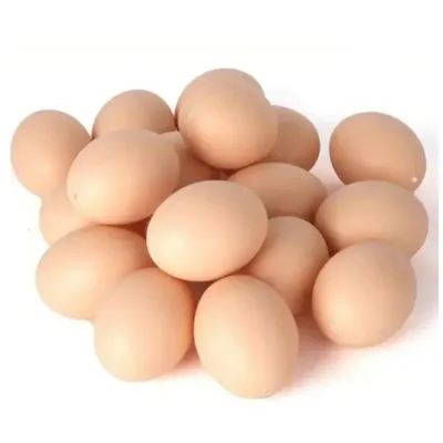 Trứng Giả Cho Gà Trứng Giả Trang Trại Động Vật Cung Cấp Lồng Phụ Kiện Hướng Dẫn Tổ Gà Trứng Đầy Màu Sắc DIY Trứng Phục Sinh Trẻ Em Vẽ Tranh Graffiti Chơi