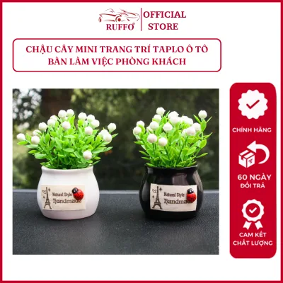 Chậu Cây Mini Trang Trí Ô Tô Bàn Làm Việc Phòng Khách Taplo Xe Hơi - Phụ Kiện Nội Thất Oto Ruffo đáng yêu Giá Rẻ