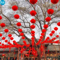 Đèn lồng đỏ trang trí Tết kiểu truyền thống dùng trong nhà ngoài trời Tết Nguyên Tiêu Trung Thu COMBO 10 50 100 ........