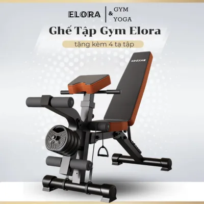 Ghế Tập Gym Kèm Tạ, Tập Thể Hình Tại Nhà, Dụng Cụ Gym Đa Năng Tại Nhà