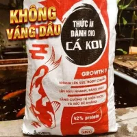 1kg Cám cá koi 42% đạm tăng size tăng màu KHÔNG VÁNG DẦU
