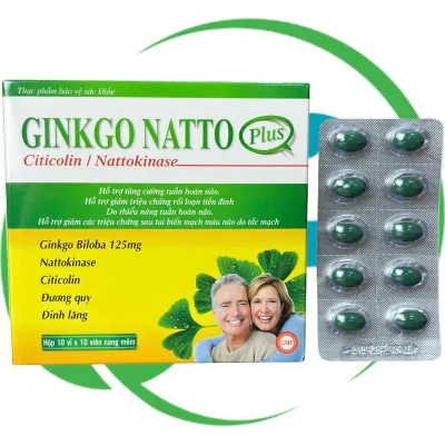 Ginkgo Natto Plus Gold - Rostex - Vinaphar - Restorative Vitamins - Multivitamins