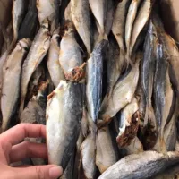 Khô cá nục lạt 1kg Thiên Tú , cá ngon thịt chắc hương vị tự nhiên , con to béo vệ sinh an toàn đóng hút chân không
