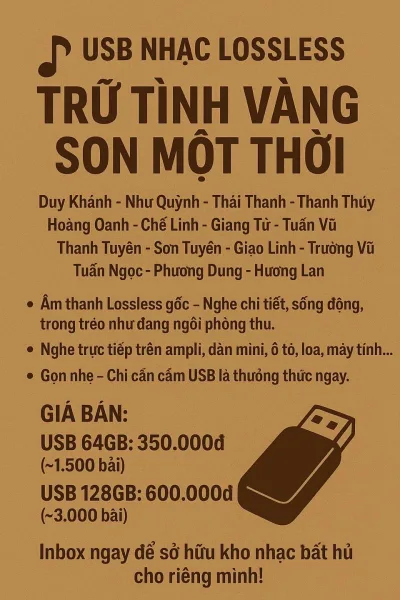 USB 128GB Nhạc Lossless – Trữ Tình Vàng Son ĐỦ CA SĨ