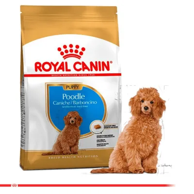 Thức ăn cho chó Royal Canin Poodle Puppy