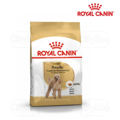 Thức ăn Royal Canin Poodle Adult cho chó trưởng thành