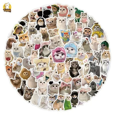 Hình nhãn gián hình Sticker Nhãn gián New 2025 Combo nhãn gián hàng new Labubu, Kuromi Capybara