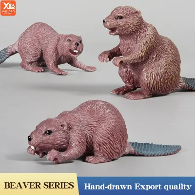 Mô phỏng Beaver Mô hình động vật hoang dã Nhân vật hành động Mô hình Bộ sưu tập PVC Giáo dục Đồ chơi trẻ em