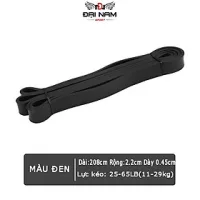 Dây Tập Kháng Lực Powerband Tập Toàn Thân Đa Năng Chính Hãng Đại Nam Sport (Hàng Xịn)