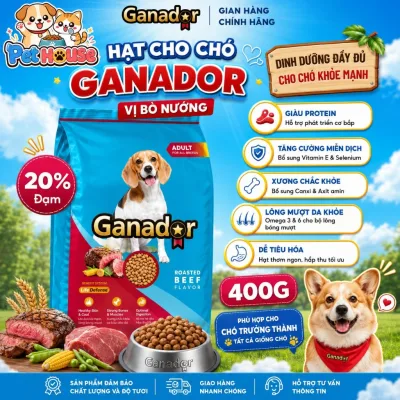Thức Ăn Hạt Cho Chó GANADOR Vị Bò Nướng 400G/Hạt Mềm Dễ Ăn, Giúp Chó Ăn Ngon Khoẻ Lông