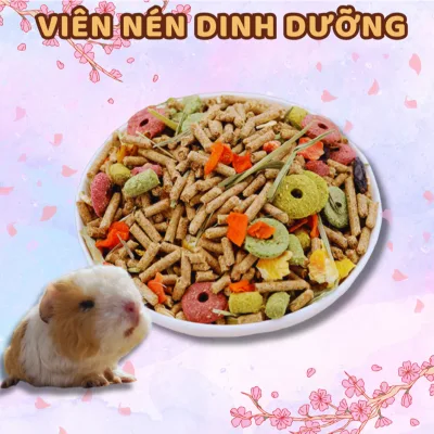 Thức ăn Bọ Ú (Chuột lang) Thỏ, nén nâu dinh dưỡng trộn bánh cỏ nhiều vị cao cấp