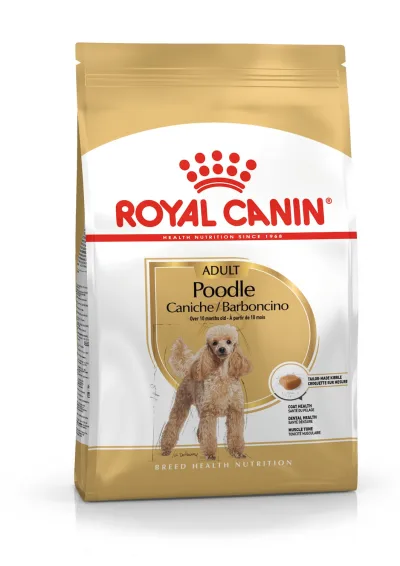 Hạt chó Royal Canin Poodle Adult Thức ăn cho chó trưởng thành Poodle 500g Petemo Pet Shop