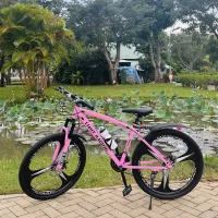 Limit Racing Mountain Bike, Sports Bike with Super Durable Steel Alloy Frame and Mechanical Disc Brakes