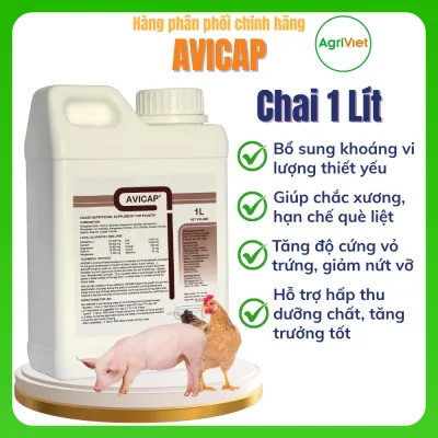 Avicap – bổ sung vitamin & khoáng cho gia cầm