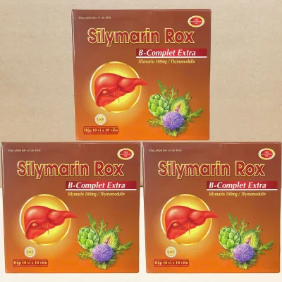 Combo of 3 Boxes of Silymarin Rox Brown - Rostex - Vinaphar - Healing Vitamins - Multivitamins
