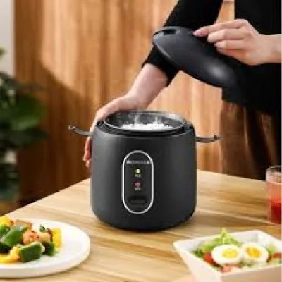 Chigo Japanese-Style Mini Rice Cooker and Ganfan 1L5/ Gk-N106 1.0L (Liter) Mini Rice Cooker. Lms