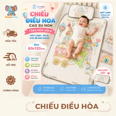 Chiếu Điều Hoà Cao Su Non Tặng Kèm Gối Cho Bé In Hình 5D Doomi Baby - HT516