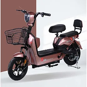 XE ĐIỆN SK8