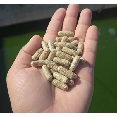 Viên tạo bobo thái, cám nuôi bobo