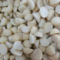 500g Nhân Hạt Macca Bể 2 Dùng Để Làm Bánh,Làm Sữa - Macca Đăk Lak - Date mới