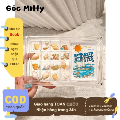 Góc Mitty✨Hộp Trưng Bày Bằng Nhựa Acrylic Trong Suốt - Đựng Vỏ Sò, Đá & Trang Sức (Thiết Kế Vỏ SỨ Độc Đáo + Nam Châm)