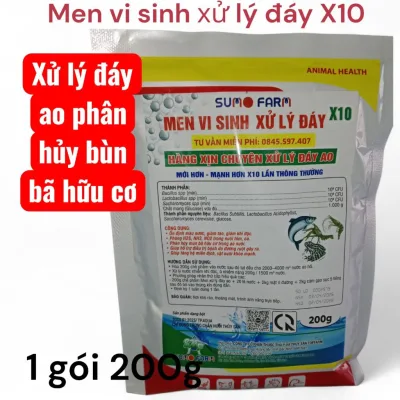 men vi sinh xử lý đáy x10